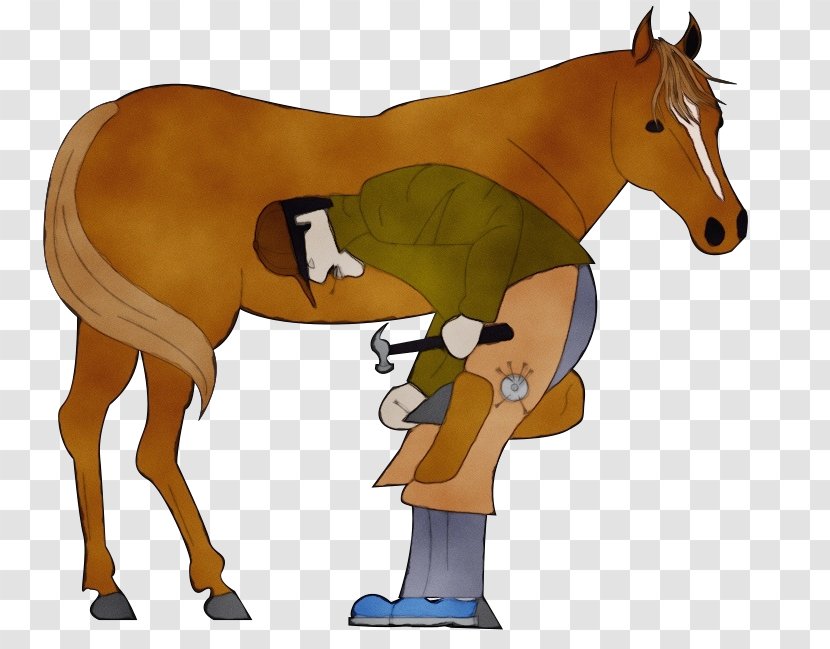 Farrier Ferrage Horseshoe Mustang American Quarter Horse - Burro - Livestock Liver Transparent PNG