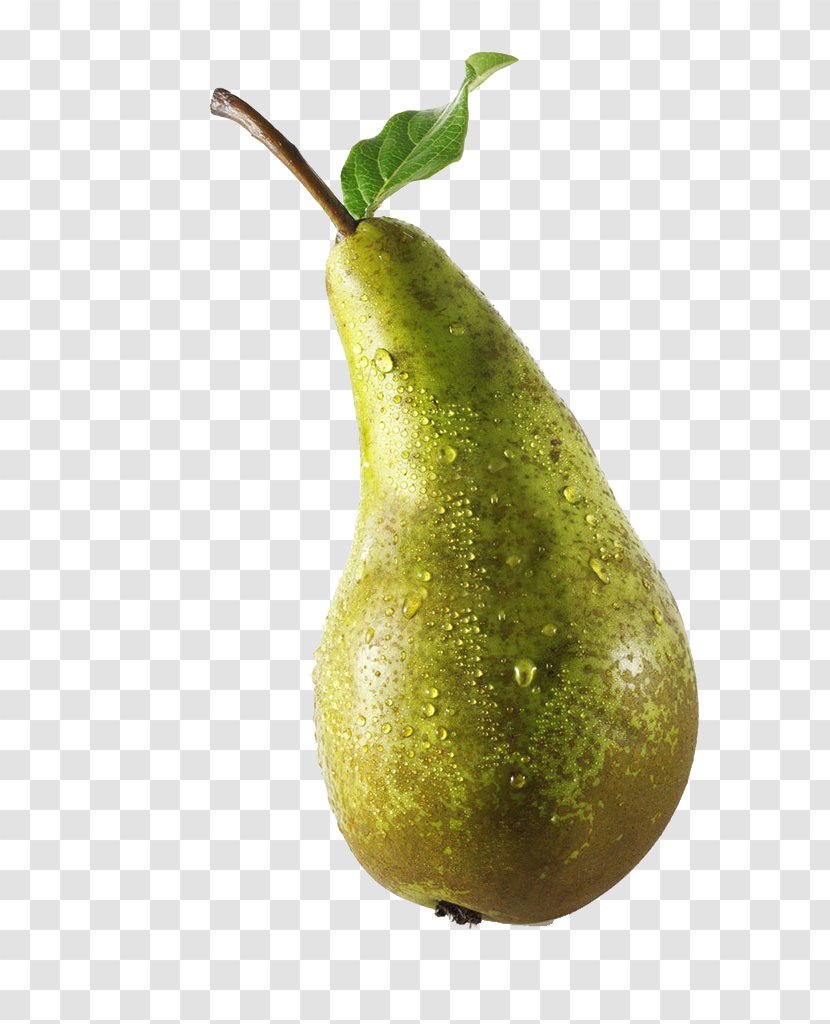 Conference Pear Fruit Photography - Precious Special Transparent PNG