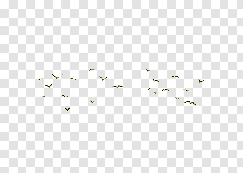 Angle Euclidean Vector Pattern - Math League - Flock Of Birds Transparent PNG