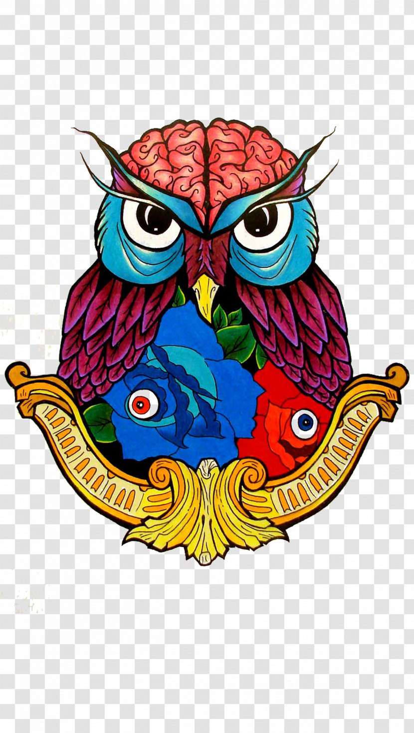 Eastern Screech Owl Coloring Book Bird Drawing - Watercolor Transparent PNG