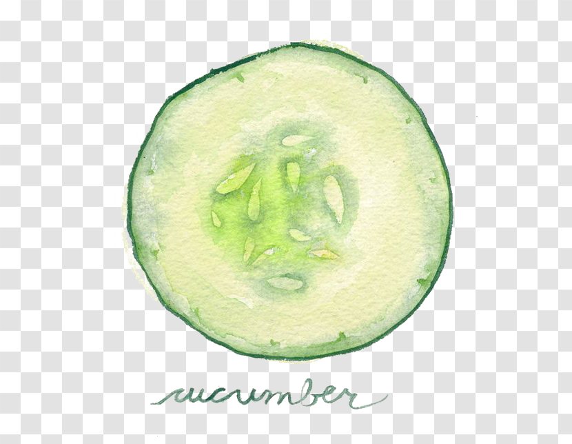 Watercolor Painting Vegetable Slicing Cucumber Illustration - Lime - Drawing Transparent PNG