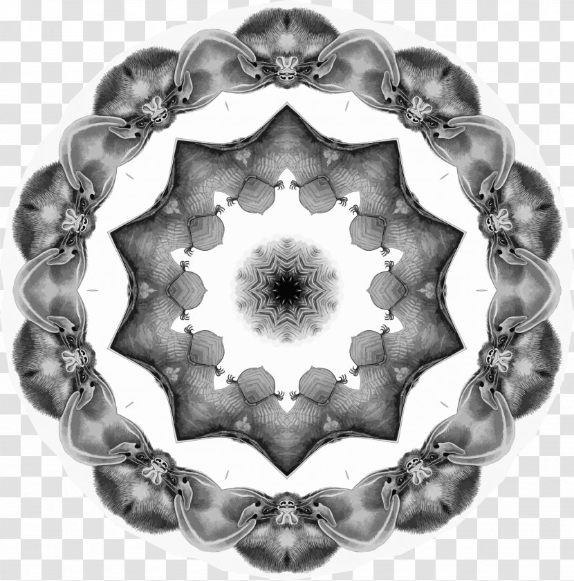 Monochrome Photography Circle Symmetry - White Transparent PNG
