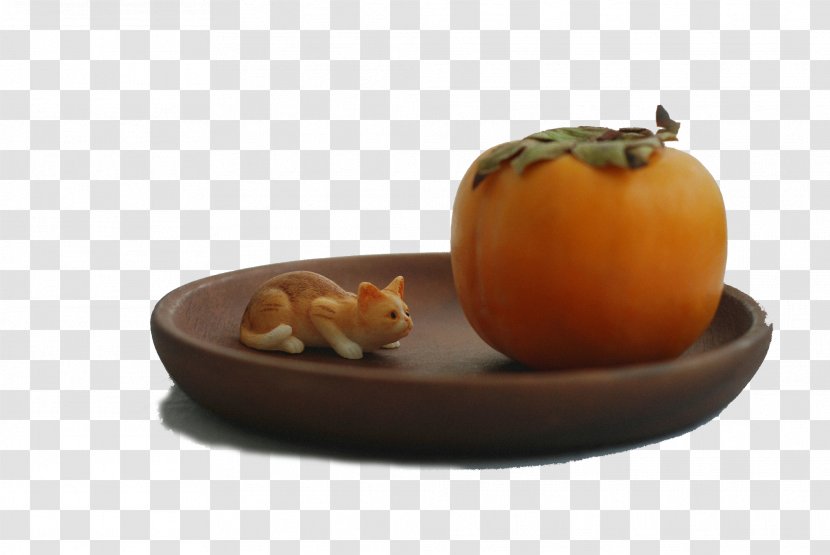 Icon - Food - Persimmon And Cats Transparent PNG
