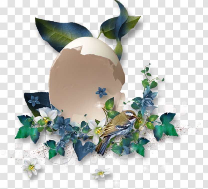 Flower Image Blog Coquilles - Holly - Youth Day Border Eggshell Goblin Transparent PNG