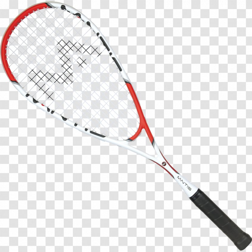 Badmintonracket Squash Sport Shuttlecock - Babolat - Badminton Transparent PNG