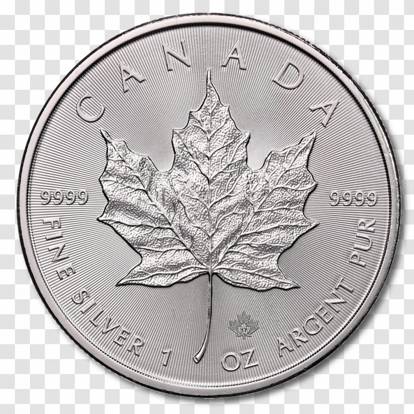 Canadian Silver Maple Leaf Gold Bullion Coin - Oz Transparent PNG