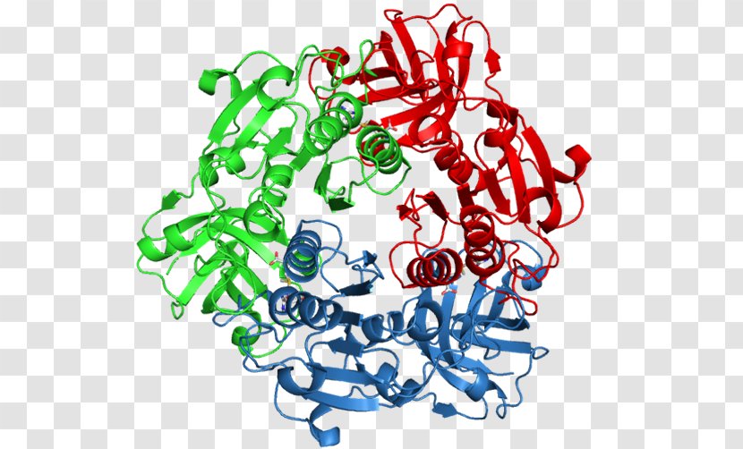 Fluorinase Enzyme Commission Number S-Adenosyl Methionine Catalysis Fluoride - Human Behavior - Cofactor Transparent PNG