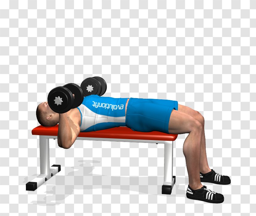 Bench Press Dumbbell Barbell Fly - Flower Transparent PNG