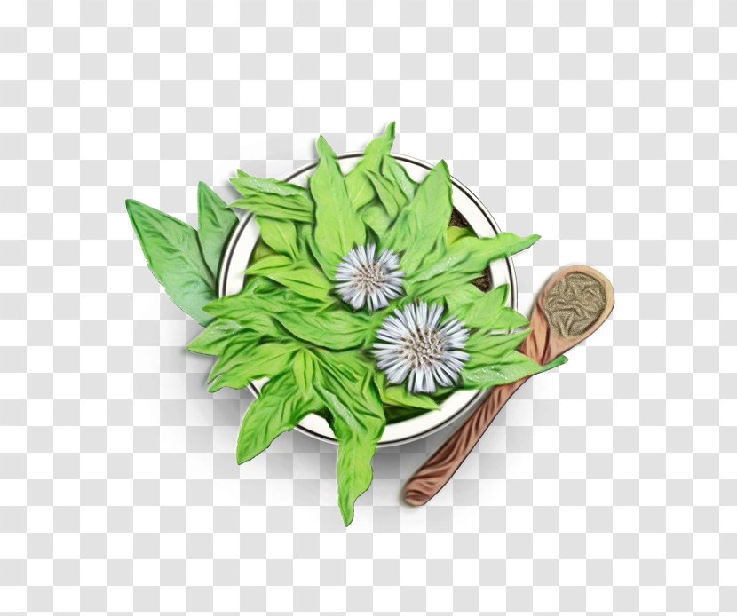 Watercolor Flower Background - Ayurveda - Herb Wildflower Transparent PNG