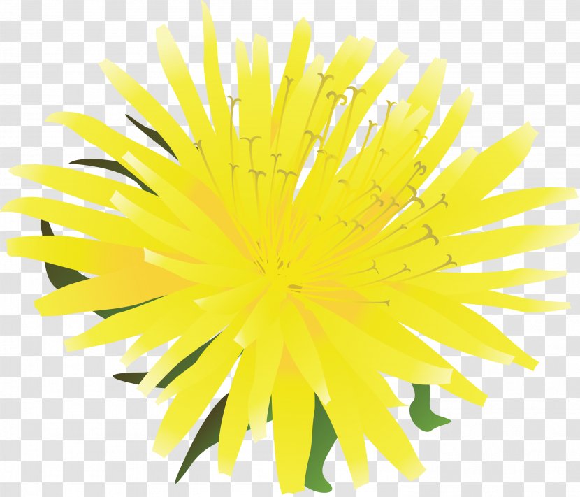 Yellow Photography Royalty-free - Fond Blanc - Dandelion Transparent PNG
