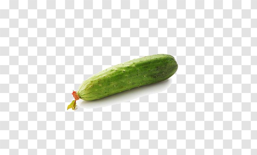 Pickled Cucumber Vegetable - An Autumn Transparent PNG