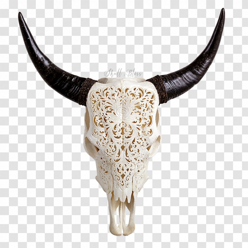 Texas Longhorn Animal Skulls English - Symbol - Skull Transparent PNG