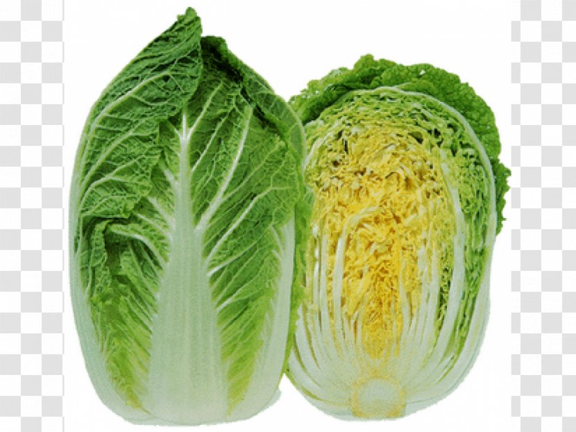 Chinese Cabbage Cuisine Napa Vegetable - Cooking Transparent PNG
