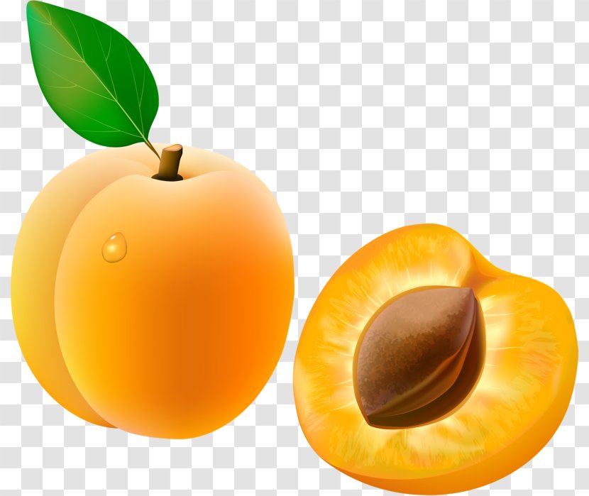Apricot Fruit Clip Art - Yellow Transparent PNG