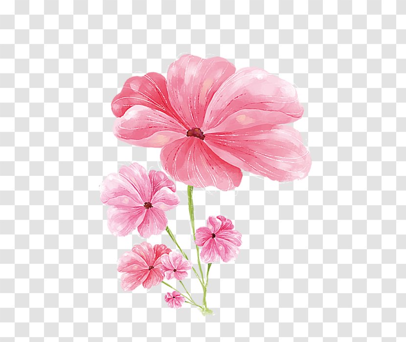Watercolor: Flowers Watercolor Painting Image - Flower - Delicate Transparent PNG