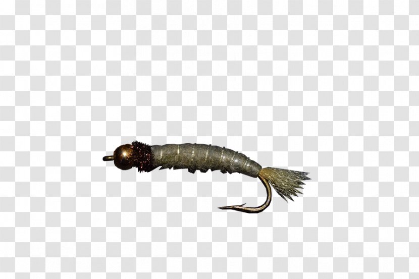 Fly Fishing Crane Crappies Insect - Larva Transparent PNG
