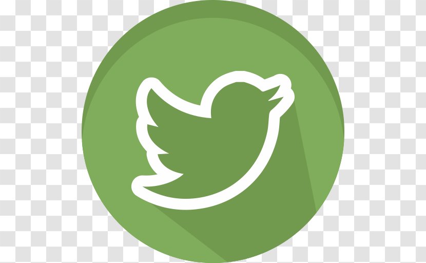 Social Media Logo Network - Web Feed Transparent PNG