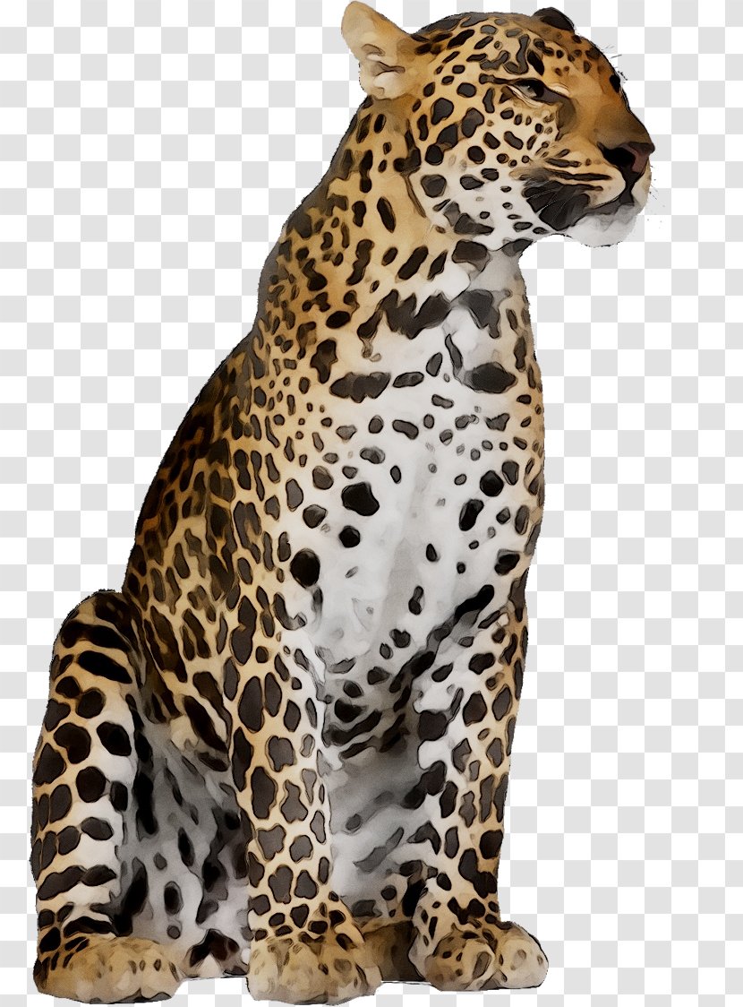Jaguar Cheetah Felidae Stock Photography Tiger - Safari - Small To Mediumsized Cats Transparent PNG