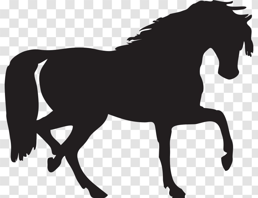 Arabian Horse Mustang Silhouette Clip Art - Rein - Head Transparent PNG