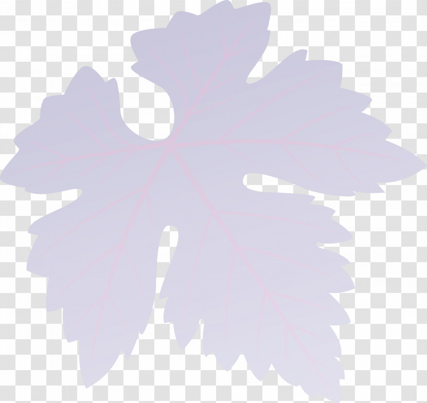 Maple Leaf Transparent PNG