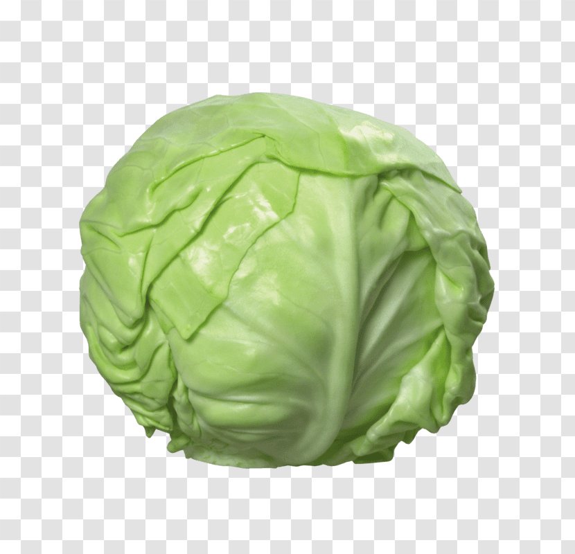 Napa Cabbage Cauliflower Vegetable - Savoy Transparent PNG