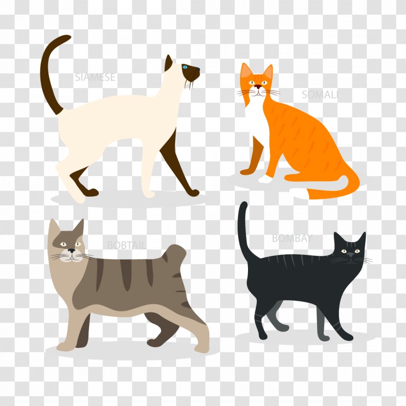 Japanese Bobtail Dog Kitten Pet Drawing - Whiskers - Vector 4 Cat Transparent PNG