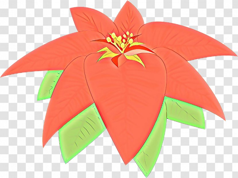 Petal Leaf Art Paper Poinsettia Plant - Cartoon - Construction Transparent PNG