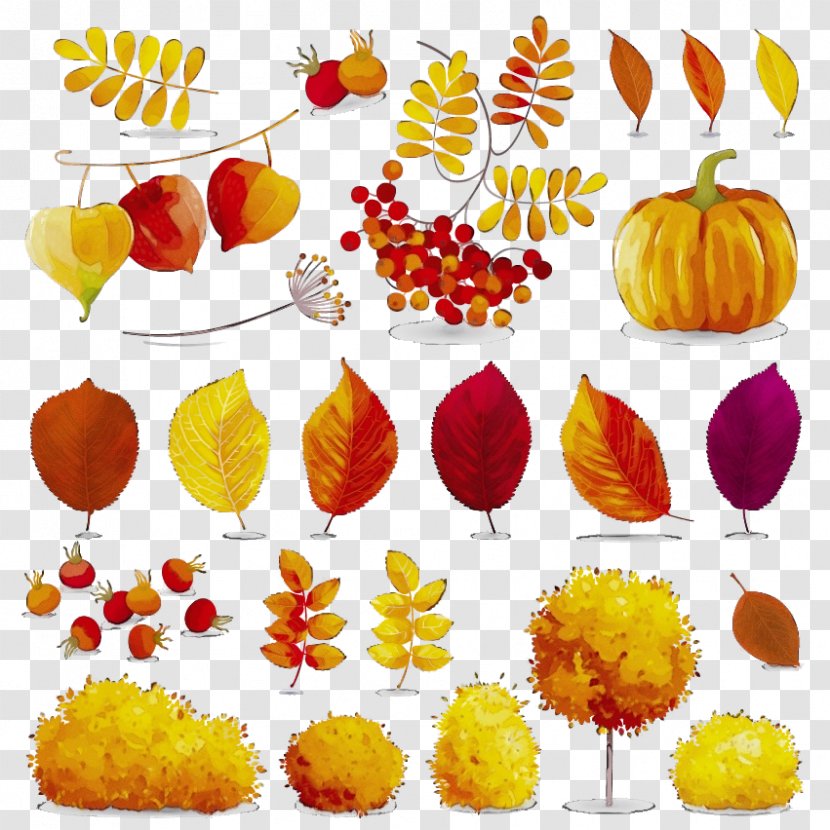 Leaf Yellow Clip Art Plant Tree - Autumn Fruit Transparent PNG