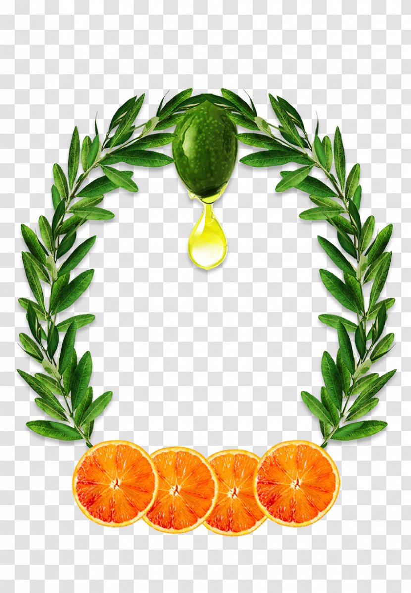 Olive Leaf Oil Extract Transparent PNG