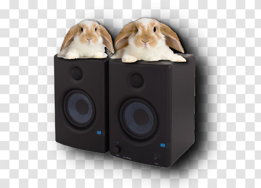 Computer Speakers Holland Lop Subwoofer Sound Box - Technology - Rabbit Transparent PNG
