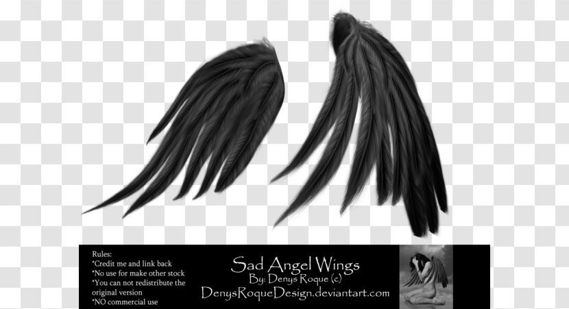 DeviantArt Black And White Hair - Angel Transparent PNG