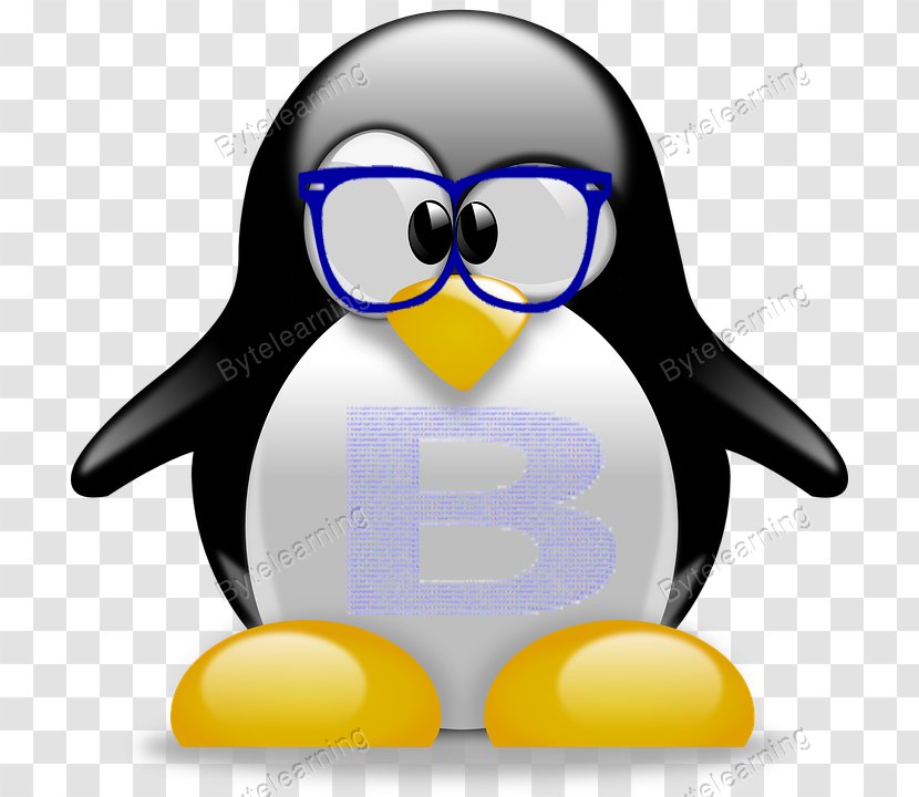 Penguin T-shirt Tuxedo Clip Art - Clothing Accessories - Script Transparent PNG