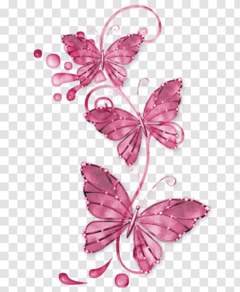 Butterfly Lossless Compression Clip Art - Pink Transparent PNG