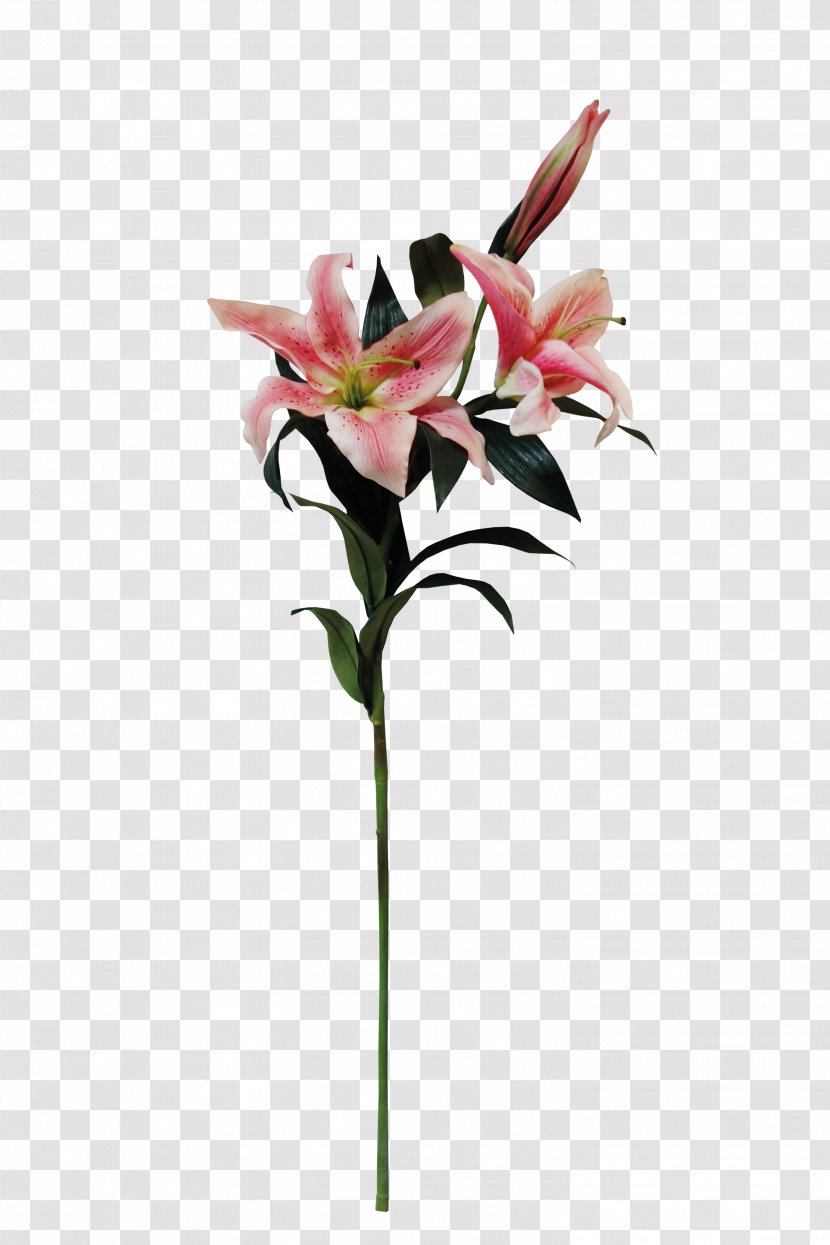Floral Design Lilium Flower - Cut Flowers - A Lily Transparent PNG