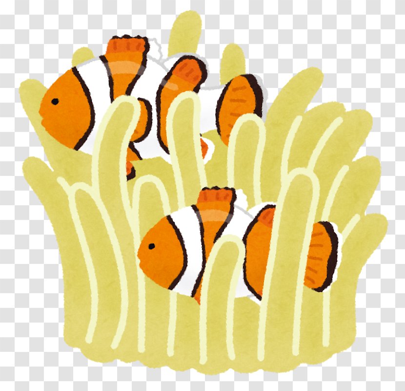 青の洞窟 Ocellaris Clownfish 待機児童 Chūō Jardin D'enfants - Flower - Fish Transparent PNG