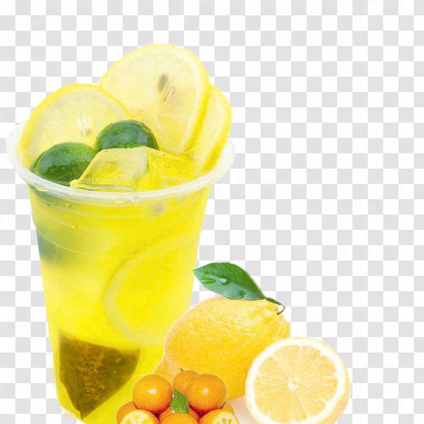 Lemon Tea Juice Lemonade - Mandarin Orange - Frozen Lime Green Transparent PNG