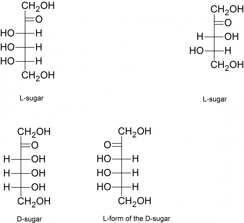 Diastereomer Carbohydrate Galactose Chemistry Sugar - Parallel Transparent PNG