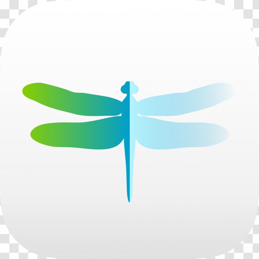 Insect Logo Butterfly Pollinator - Invertebrate - Dragonfly Transparent PNG