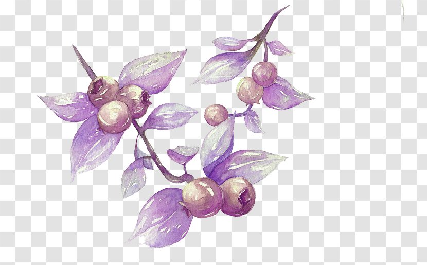 Watercolor Painting Blueberry Illustration - Petal - Painted Picture Material Transparent PNG