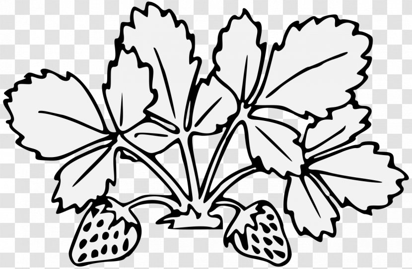 Leaf Plant Stem Floral Design Clip Art - Artwork Transparent PNG