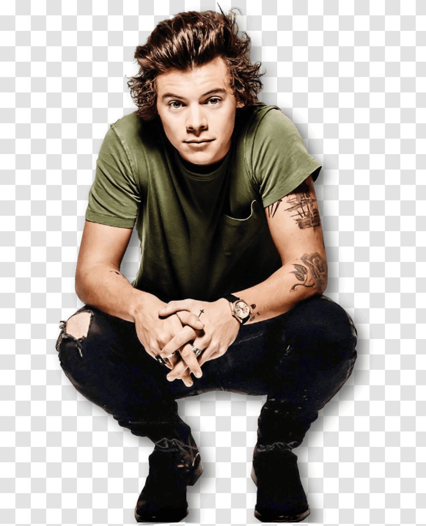 Harry Styles One Direction Four Song - Tree Transparent PNG