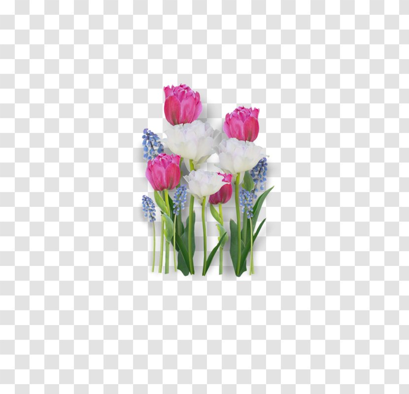 Tulip Flower Bouquet Cut Flowers Clip Art - Plant Transparent PNG