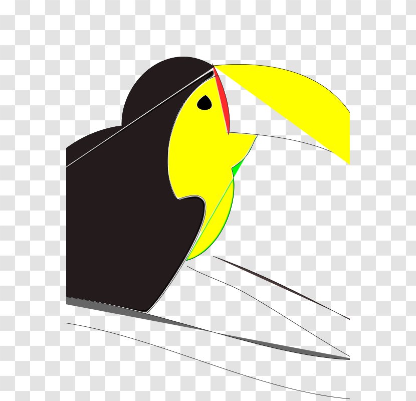 Clip Art Illustration Vector Graphics Image - Piciformes - Papagayo Transparent PNG