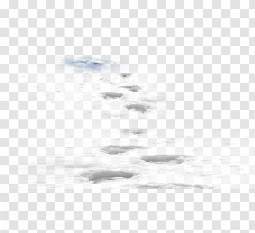 White Black Area Pattern - Texture - Footprints In The Snow Transparent PNG
