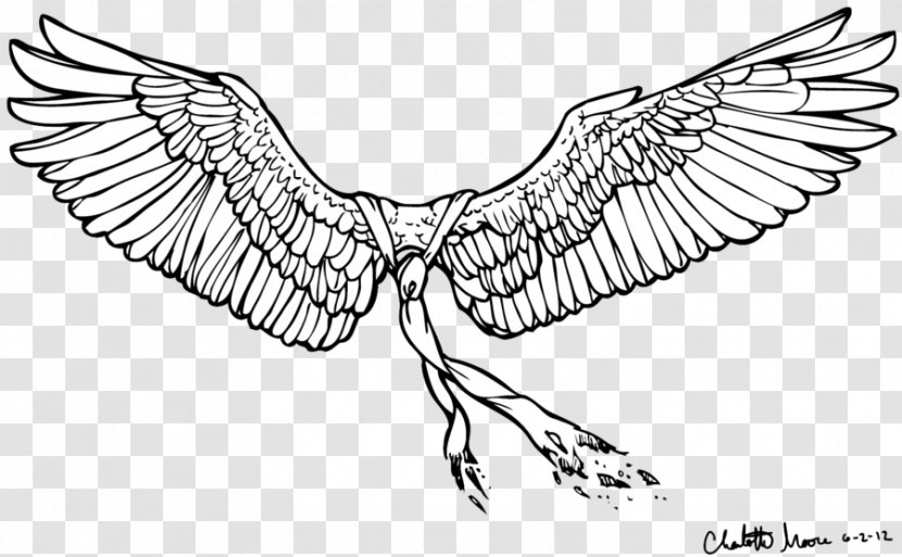 Castiel Drawing Line Art - Supernatural - Heart Wing Transparent PNG