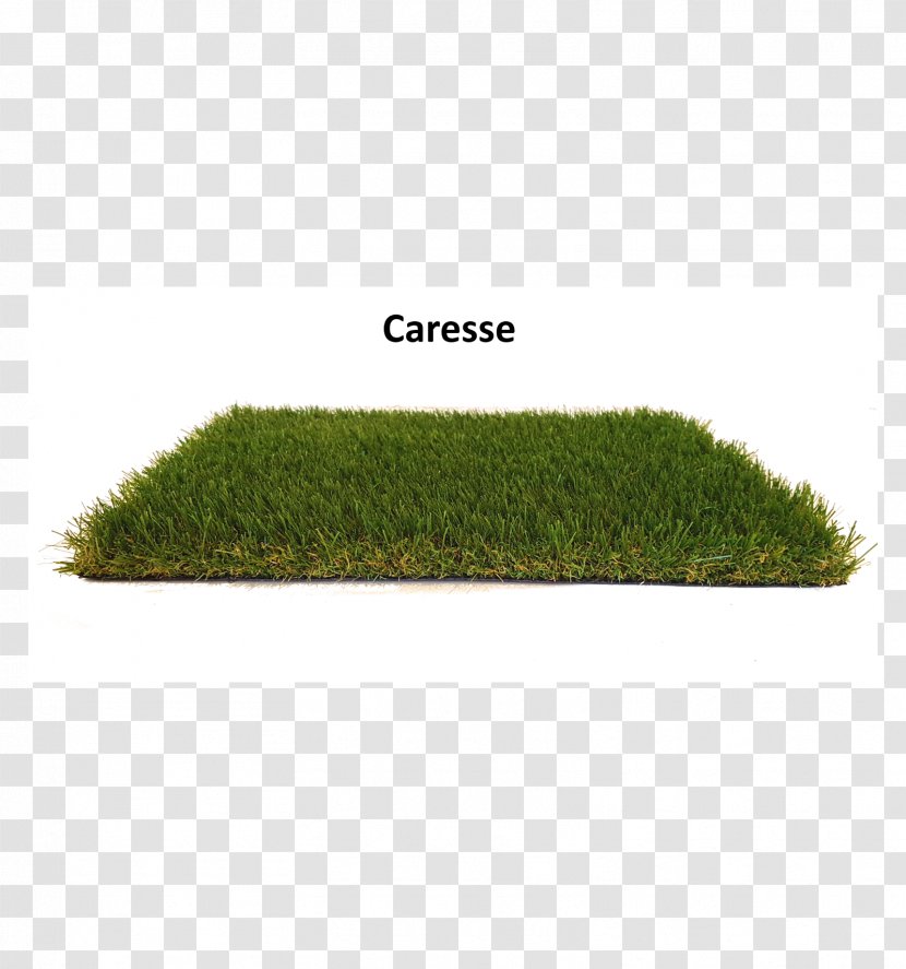 Caresse En 4m De Large Grasses AGCO - Grass - Gazon Transparent PNG