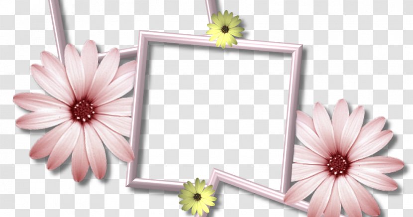 Borders And Frames Picture Collage Clip Art - Cut Flowers Transparent PNG