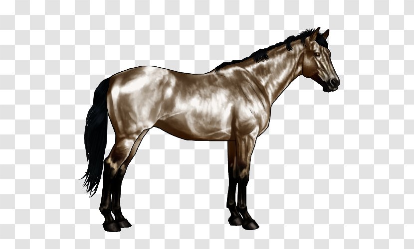 American Paint Horse Quarter Roan Equine Coat Color Pinto - Fjord Transparent PNG