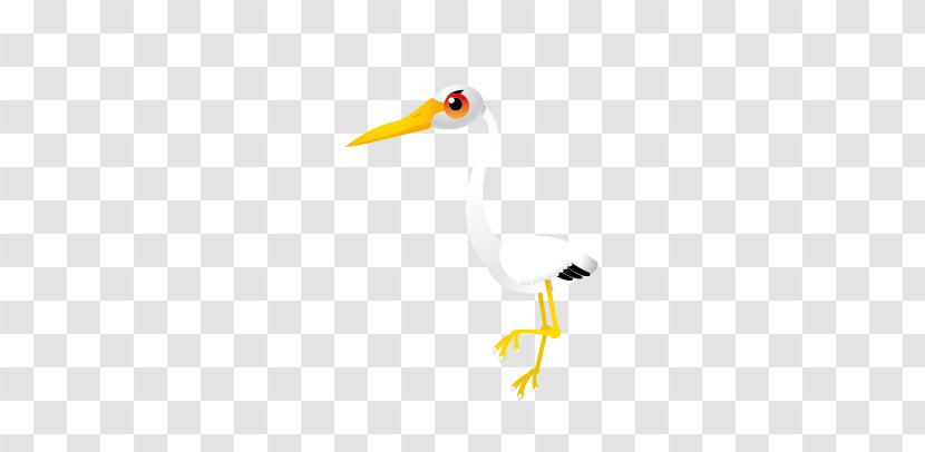 Water Bird Duck Cygnini Goose - Beak - Swan Transparent PNG