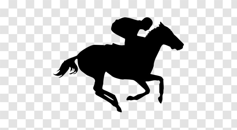 Thoroughbred Daily News Horse Racing Jockey Clip Art - Mane Transparent PNG